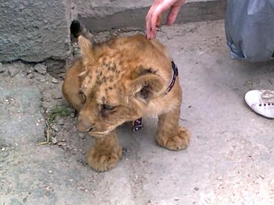 Прикрепленное изображение: Фото0057.jpg